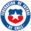 CHI U19 logo