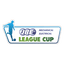 NIR Women's Cup logo