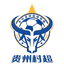 Rural Football Super League logo - Rural Football Super League 33828 Live Football