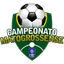BRA Mato Division 1 logo - Bra Mato Division 32854 Schedule