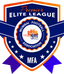 MFA logo