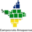 BRA AMP logo