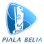 MAS Intercontinental Cup logo
