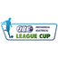 NIR League Cup logo