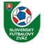 SLO Women's League logo