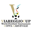 ITA Torneo Di Viareggio logo
