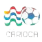 BRA RJC logo