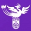 Yongchuan Tournament(w) logo - Live Yongchuan Tournamentw 34022
