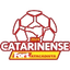 BRA Campeonato Catarinense Division 1 logo