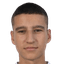 F. Vasiljević player photo