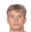 Niklas Vesterlund player photo