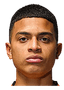 Kevin·Kelsy player photo
