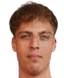 A.Hofleitner player photo