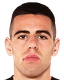 marco bosisio player photo