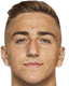 Dominik Akrap player photo