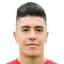 D. Vokic player photo