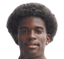 Kylian Silvestre player photo