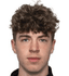 niall holohan player photo