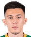 aydyn metallov player photo