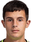 Dan-Angelo Boţan player photo