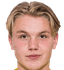 Teodor Walemark player photo