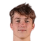 Joe Wallis player photo