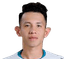 Phong Hong Duy Nguyen player photo