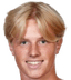 Hans Hollsberg player photo