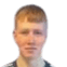 baldur brynjarsson player photo