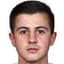 Armin Đerlek player photo