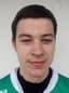 Frantisek Sitarcik player photo
