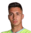 Faruk Dalipagic player photo