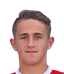 Dominik Kriz player photo