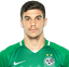rony laufer player photo