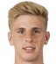 Sebastian Kapsamer player photo