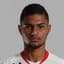 Caique player photo