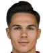 Daniel Klicnik player photo