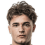 Vinicius Faloni player photo