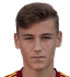 David Kozel player photo