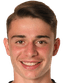 schwegler silvan player photo