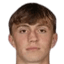 Erik Stehrer player photo