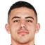 N.Krstović player photo