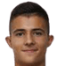slobodan stanojlovic player photo