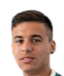 Claudio Pombo player photo