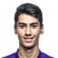 Nick Hanik Horvat player photo