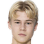 Theo Bergvall player photo