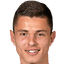 Nedim Hadžić player photo