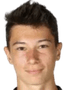 Bartu Kulbilge player photo