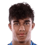 Dominic Vavassori player photo