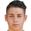 Nico Wiesinger player photo